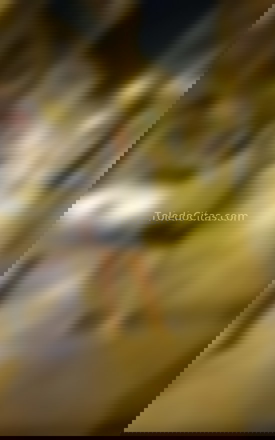 Gina, trans paraguaya  . 632470779. Citas en TOLEDO, TOLEDO. www.toledocitas.com.
