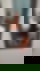 602436961