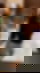 610919108
